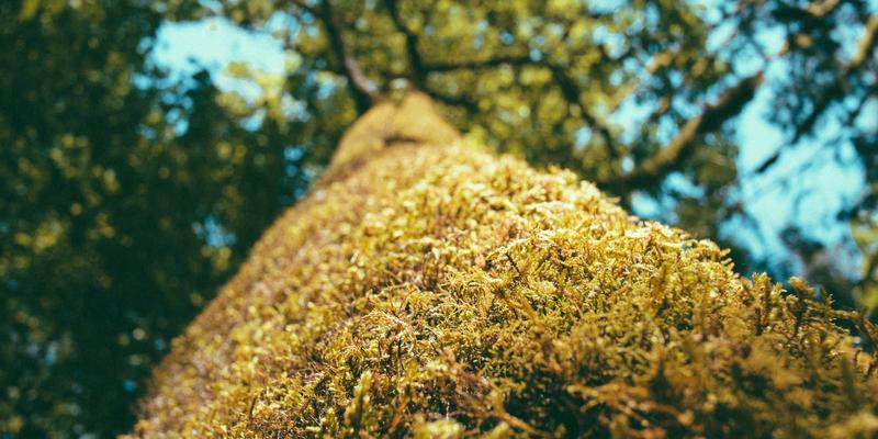 OKR与KPI：驱动企业高效增长的双引擎，如何整合资源与工业解决方案