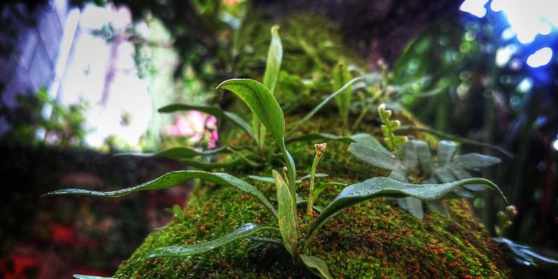 从单次交易到终身合赢：构建客户成功体系，重塑企业管理新范式