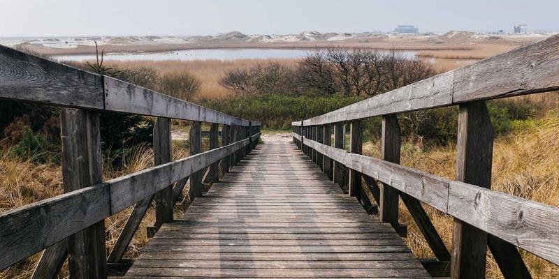 从愿景到行动:三步破解企业战略落地难题,激活一线执行力