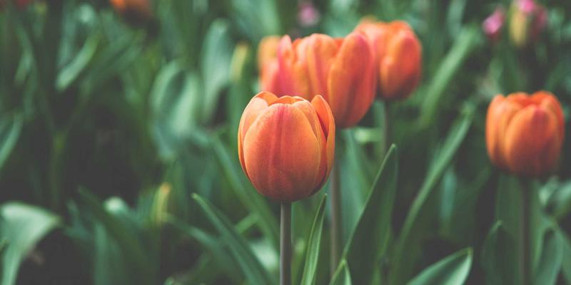 从成本中心到价值引擎：企业管理如何重塑财务部门的战略角色