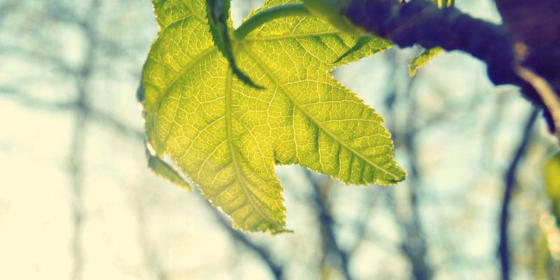 从成本中心到增长引擎:合规风控如何为业务主动赋能