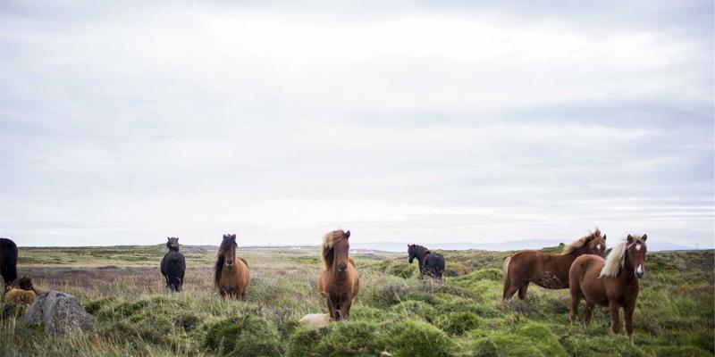 从直觉到智能：数据驱动决策如何重塑企业战略规划与商务合作