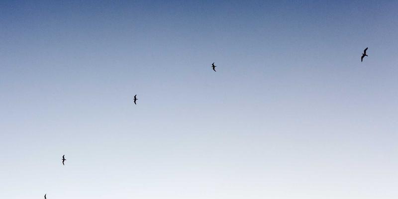 从资源整合到合赢共生：工业解决方案视角下的员工敬业度多维激励体系设计