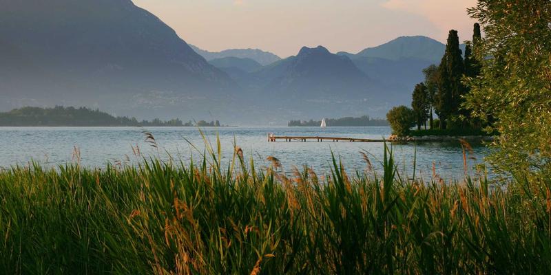 合赢之道：远程团队管理的工业级解决方案与高效沟通策略