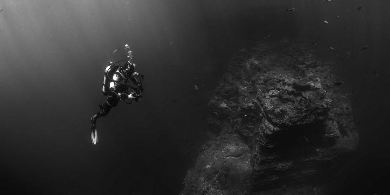 合赢未来：构建创新管理机制与研发激励的黄金三角