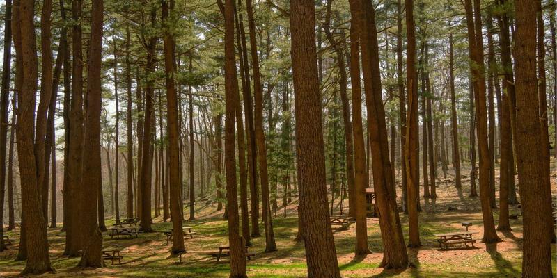 打破部门墙:传统企业如何通过敏捷转型实现跨职能高效协同与合赢