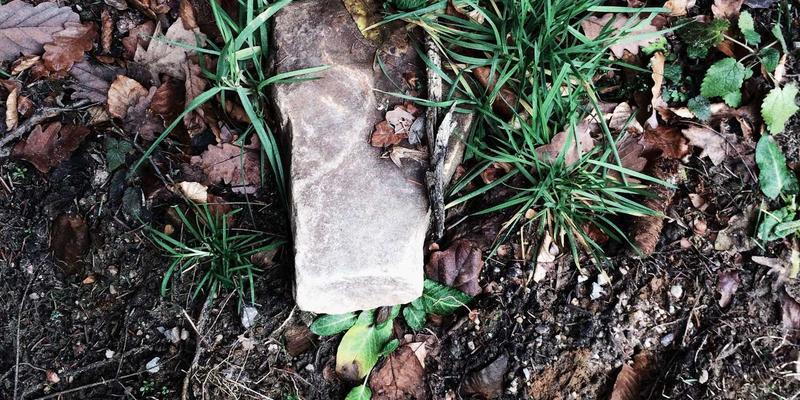 破局增长瓶颈:成熟企业如何借力内部创业与孵化机制开辟第二曲线